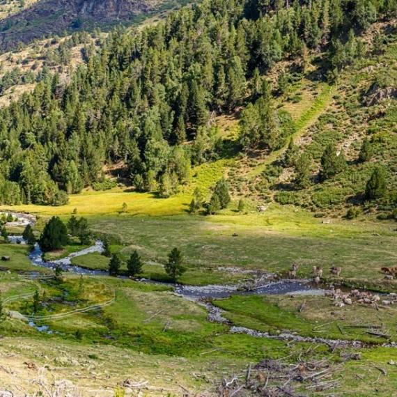 Pallars Sobirà